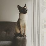 Olive Heidi - @olive_heidi - Instagram