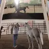Heidi Olson - @heidi.olson4 - TikTok