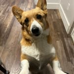 Heidi Olson - @heidiolson782 - Instagram