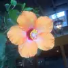 heidiolson22 - @heidi.olson41 - TikTok