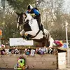 heidioneill125 - @heidioneill125 - TikTok