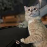 Heidi Ortiz - @reyes_04orz - Instagram