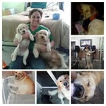 Heidi Ortiz - @heidi_carmen78 - Instagram