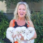 Heidi Pack - @hiheidipack - Instagram