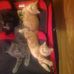 Heidi Pack - Facebook
