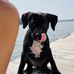 Heidi Parr - Facebook