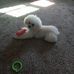 Heidi Penning - Facebook