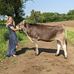 Heidi Pennington - Facebook