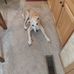 Heidi Pennington - Facebook