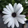 Heidi Petty - @heidi.petty02 - TikTok