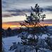 Heidi Phelps - Facebook