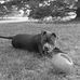 Heidi Tinkham - Facebook