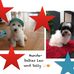 Heide Platt - Facebook