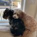 Heidi Platt Gruskowski - Facebook