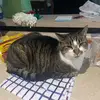 heidi - @heidipowerr - TikTok