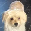 Heidi_power_star - @heidi_power_star - TikTok