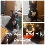 Heidi Michelle Quinn - @heidi.quinn.121 - Instagram