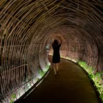 Heidi Quinn - @haquinnie - Instagram