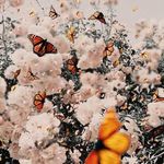 Heidi Quinn - @heidi.quinn.108 - Instagram