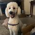 Heidi Rader - Facebook