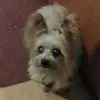 heidi grahn - @heidi_grahn - TikTok