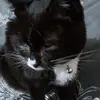 Heidi Rowson - @heidi.rowson - TikTok