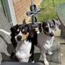 Heidi Reed - Facebook