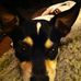 Heidi Reese - Facebook
