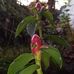 Heide Rex Muyco - Facebook