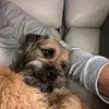 heidi - @heidiritchiehells - TikTok