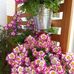 Heidi Ritter - Facebook