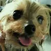 HeidiRoberson0MHY - @heidiroberson0mhy - TikTok