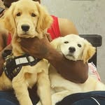 Heidi_Rocky - @heidi_a20_and_rocky_j9 - Instagram