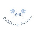 Heidi Rowley - @dahlbergdaisies - Instagram