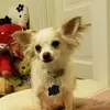 heidirowley91 - @heidirowley91 - TikTok