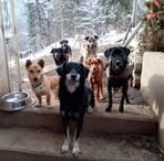 Heidi Rupp - Facebook