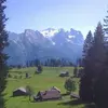 heidisachsner1 - @heidisachsner1 - TikTok