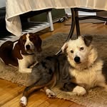 Heidi Satterfield - @heidijosatt - Instagram