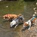 Heidi Satterfield - Facebook