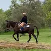 Heidi Sawyer - @heidi.sawyer3 - TikTok