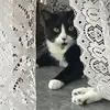 heidi.s.66 - @heidisawyer958 - TikTok