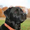 heidisawyerfawcet - @heidisawyerfawcet - TikTok