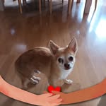 Heidi - @heidi.scheller.7 - Instagram