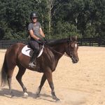 Heidi Hartenbach Schuessler - @hschuessler - Instagram