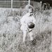 Heidi Schumann - Facebook
