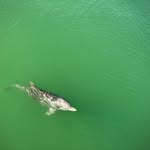 Heidi Schumann - @heidischumannphoto - Instagram