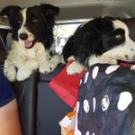 heidi schutte - @schutteheidi - Instagram