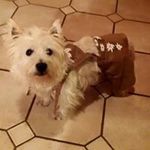 Heidi Schwab - @hschwab2 - Instagram