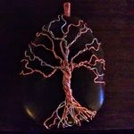 Heidi Schwab - @schwabbynature - Instagram