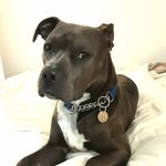 Heidi Schwab - @trev.and.me - Instagram